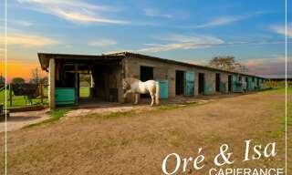 Commerce 7 Pièces 237 m² à vendre à Reigny (18270)