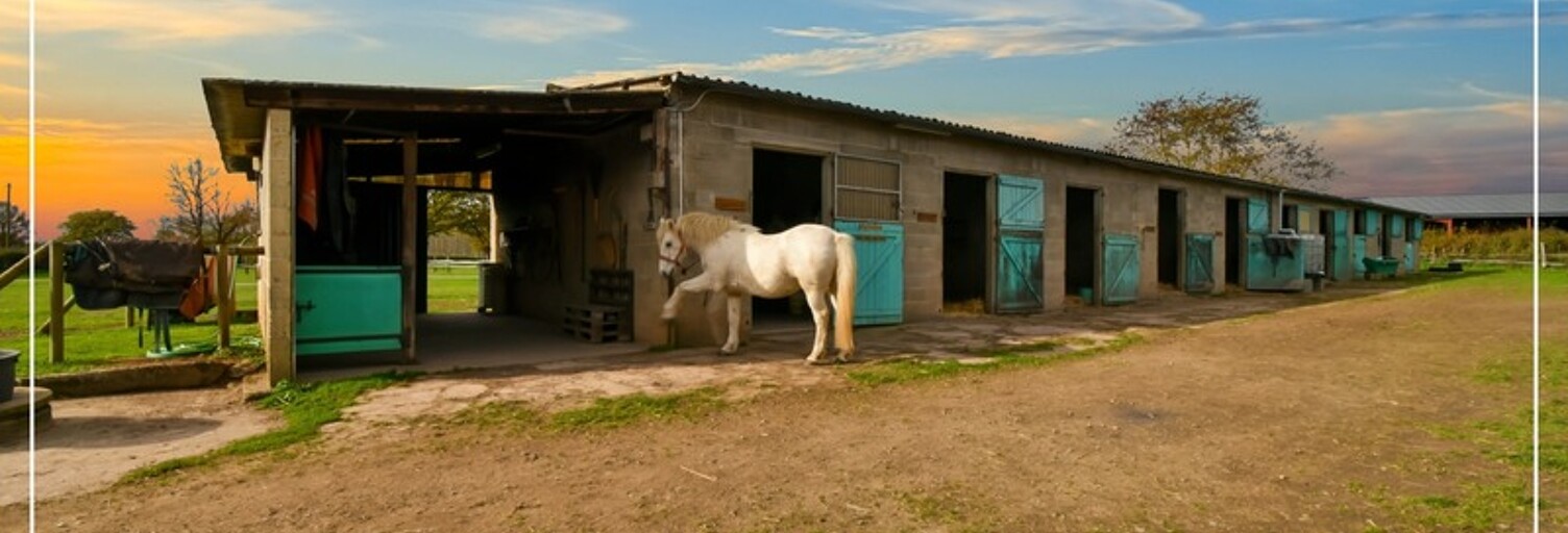 Commerce 7 Pièces 237 m² à vendre à Reigny (18270)