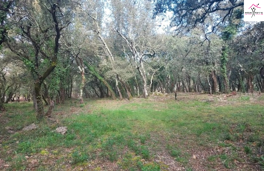 Terrain  à vendre Sainte-Anastasie-sur-Issole 83136