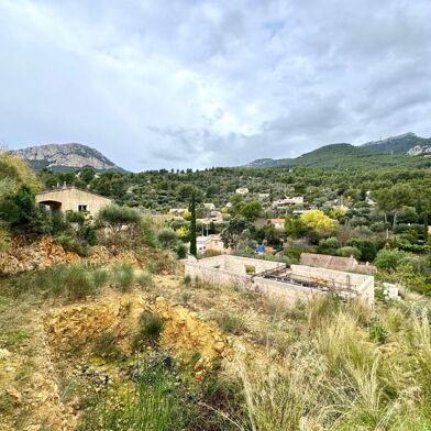Terrain  295000 €