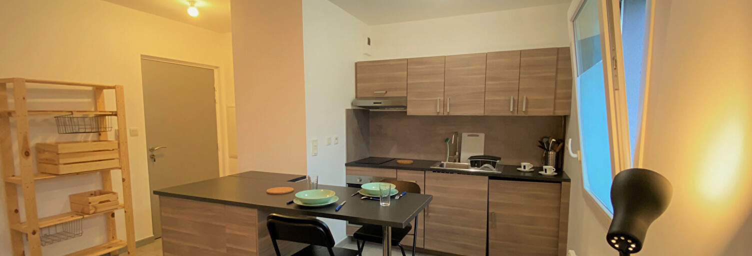 Appartement 1 Pièce 26 m² à louer à Nantes (44300)