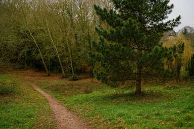 Terrain  85000 €