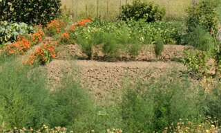 Terrain 320 m² à construire Raizeux (78125)