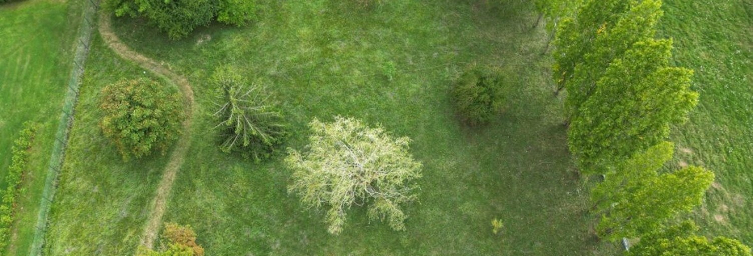 Photo N° 2
