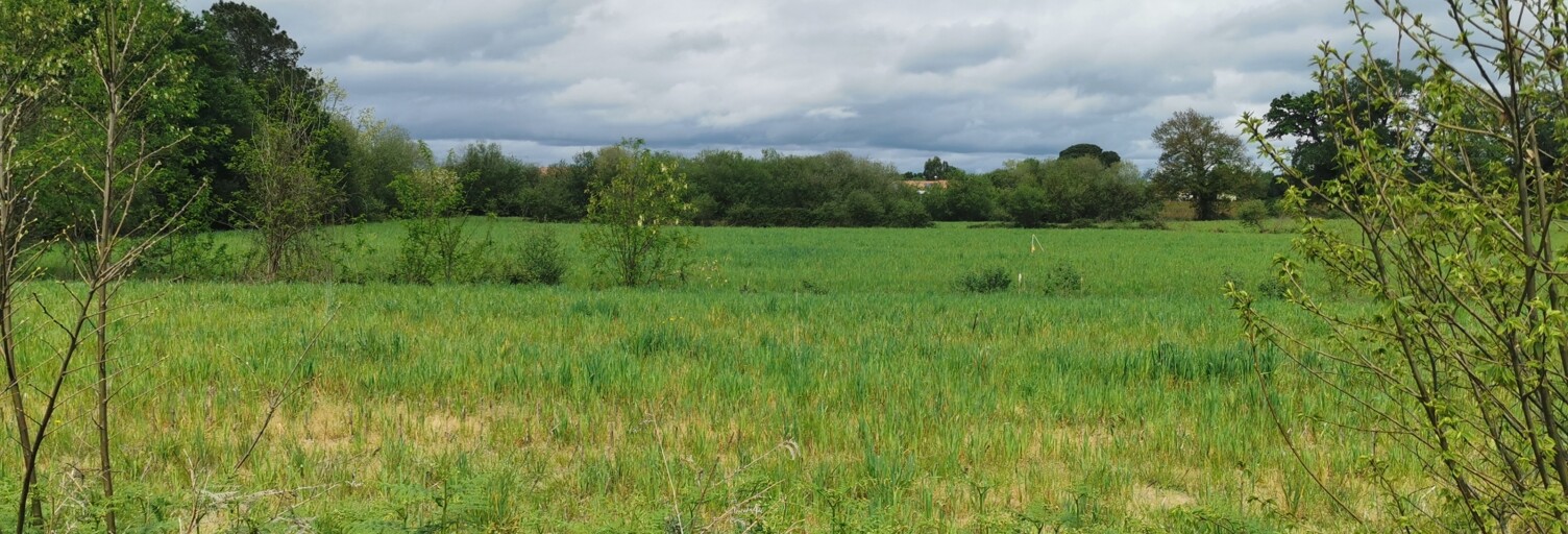 Terrain  610 m² à vendre à Hinx (40180)