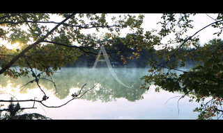 Terrain  243800 m² à vendre à Salbris (41300)