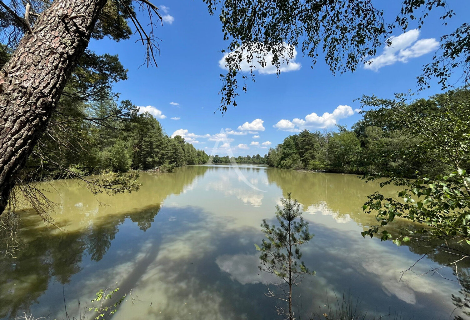 Territoire de chasse avec étang en Sologne — photo 1