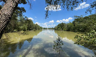 Terrain  243800 m² à vendre à Salbris (41300)