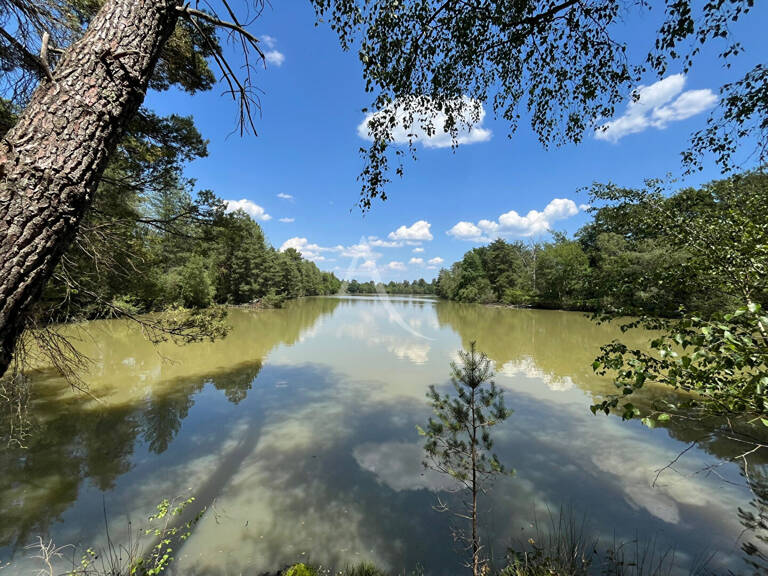 Territoire de chasse avec étang en Sologne — photo 1