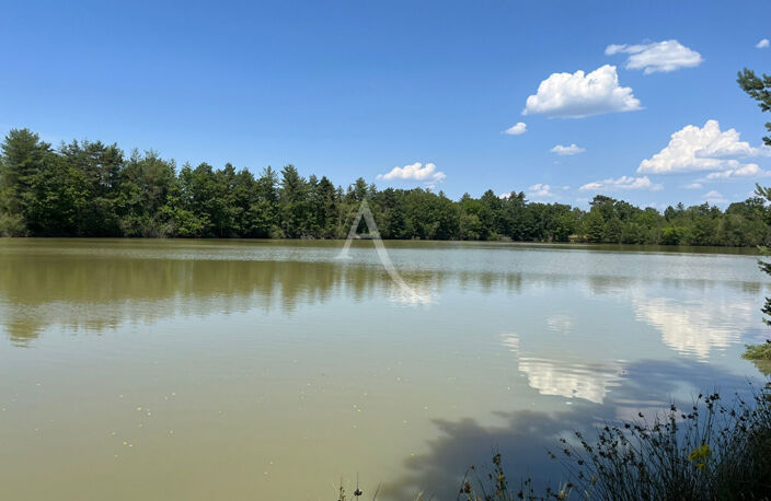 Territoire de chasse avec étang en Sologne — photo 2