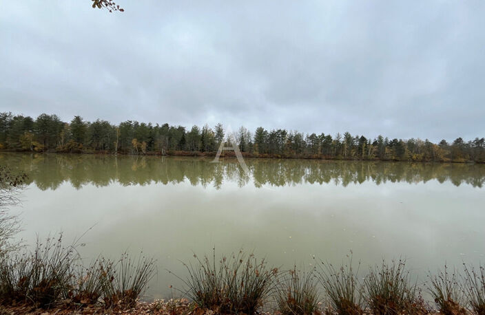 Territoire de chasse avec étang en Sologne — photo 3