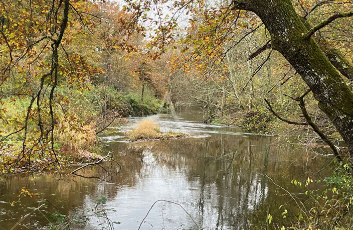 Territoire de chasse avec étang en Sologne — photo 5