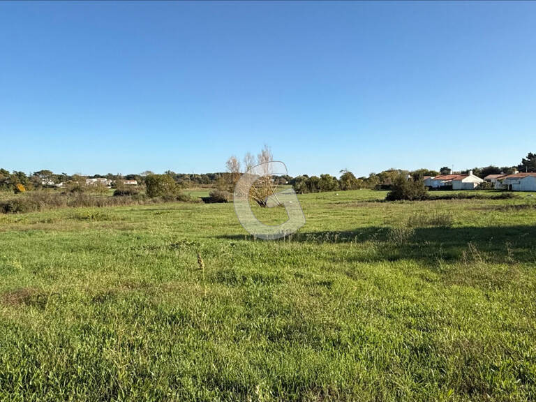 Terrain à vendre à Saint Vincent Sur Jard 3 261 m² — photo 1