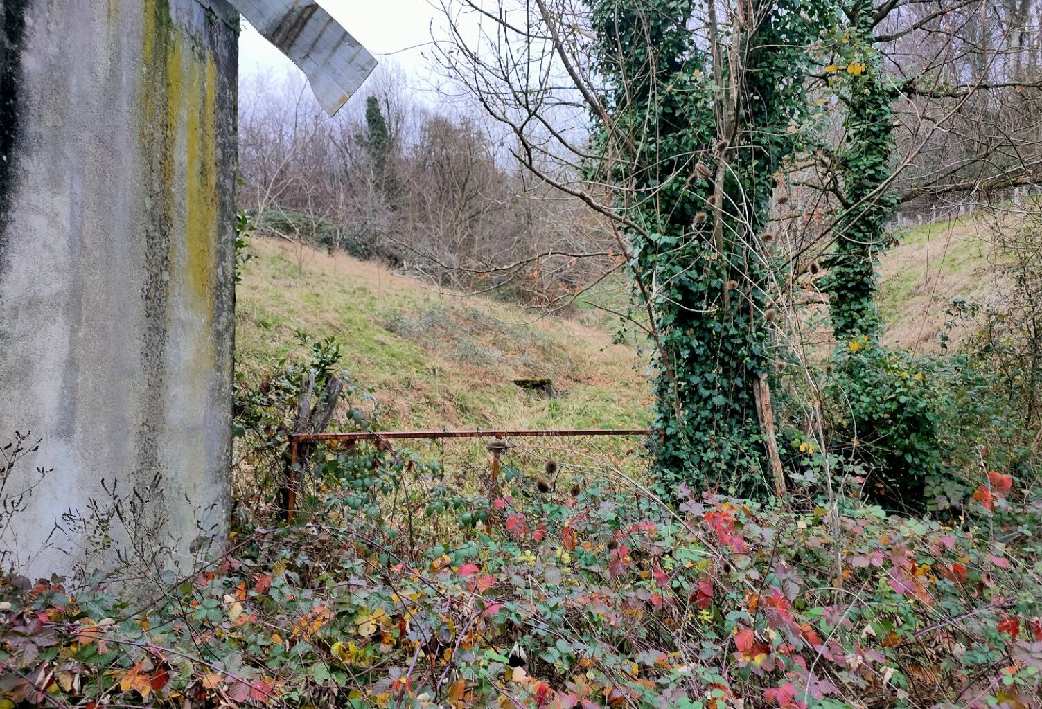 Terrain — photo 1
