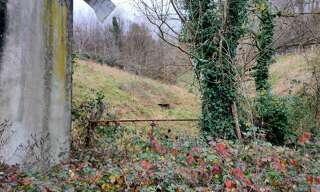 Terrain  3860 m² à vendre à Altillac (19120)