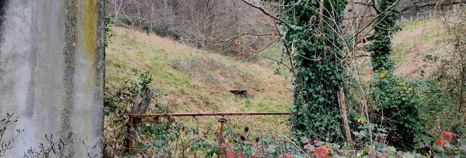 Terrain  3860 m² à vendre à Altillac (19120)