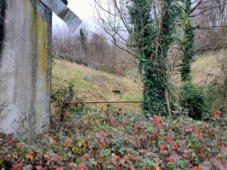 Terrain — photo 1