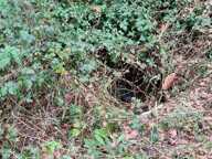 Terrain — photo 2