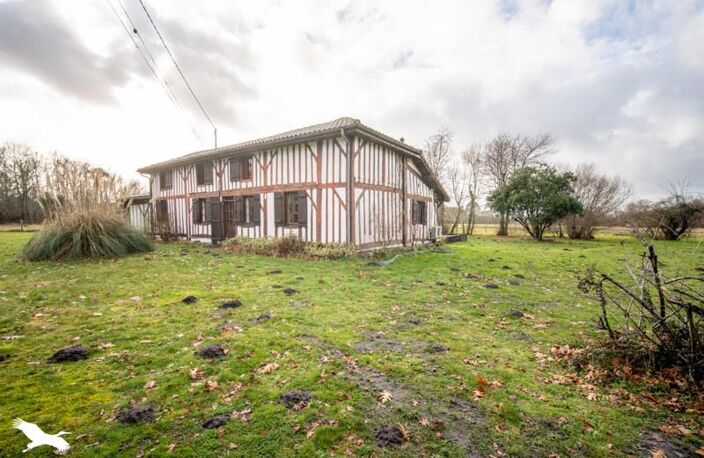 Landaise de 4 pièces principales — photo 3