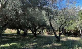 Terrain  401 m² à vendre à Castries (34160)