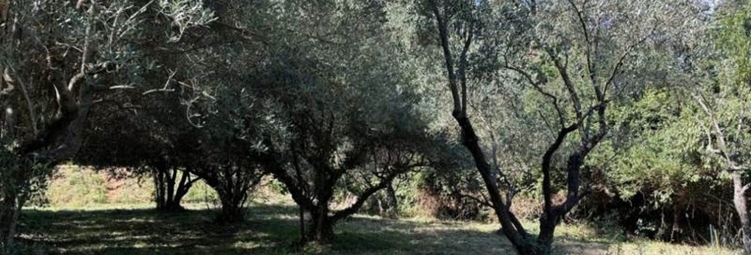 Terrain  401 m² à vendre à Castries (34160)