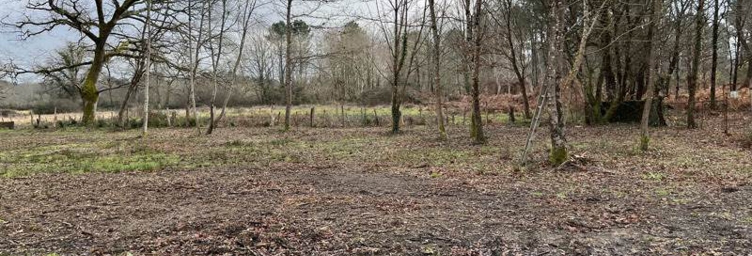 Terrain  2920 m² à vendre à Montendre (17130)