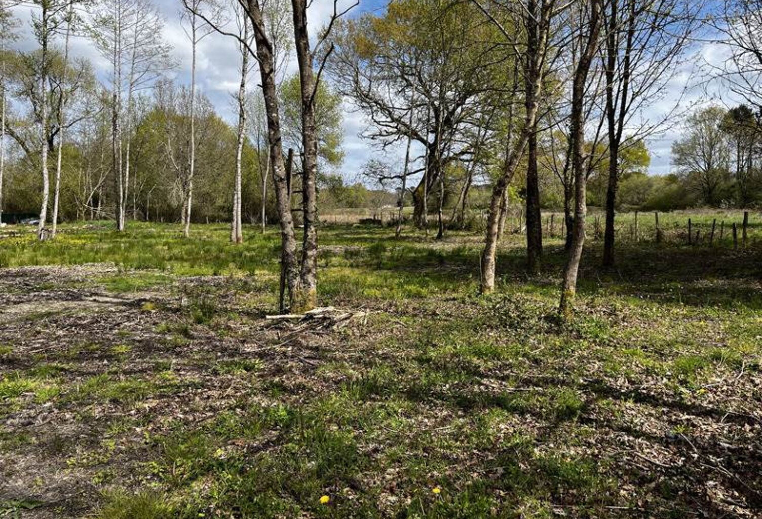 Terrain à bâtir de 0 pièces principales — photo 1