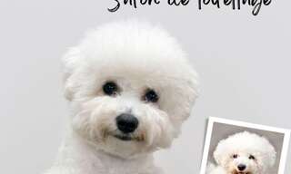 Commerce  29 m² à vendre à Nice (06300)