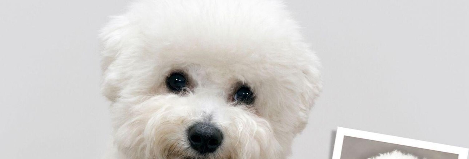 Commerce  29 m² à vendre à Nice (06300)