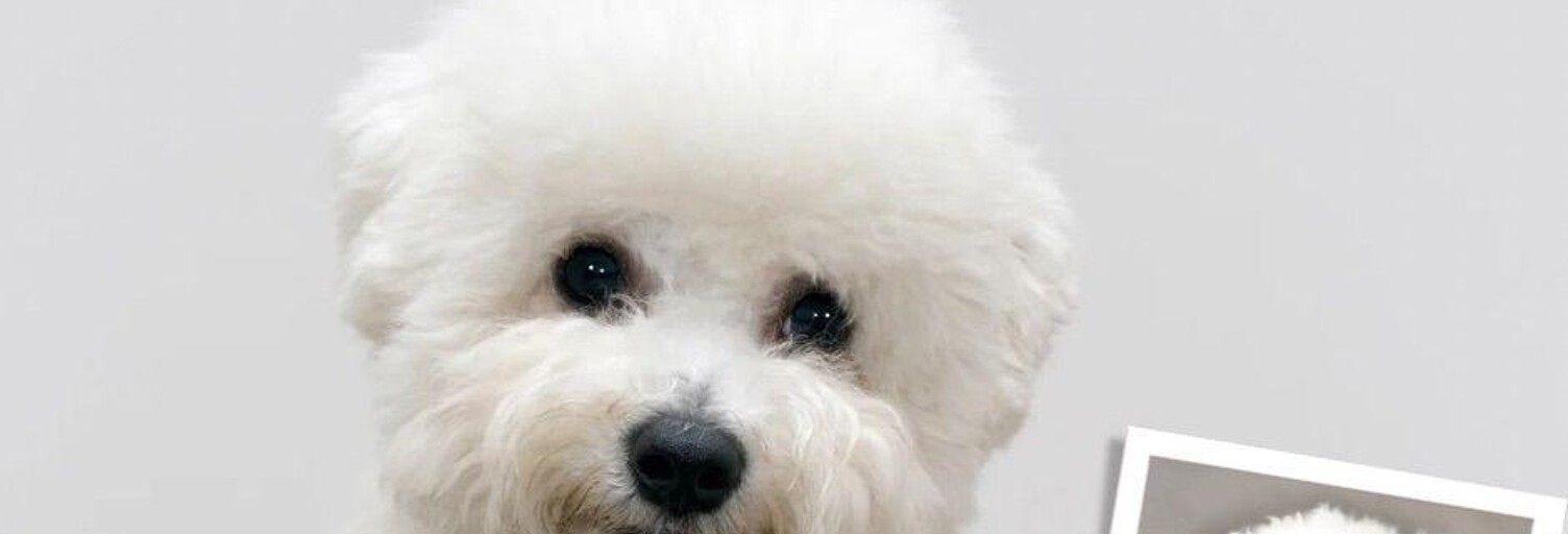 Commerce  27 m² à vendre à Nice (06300)