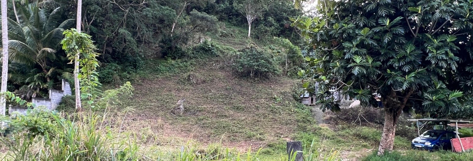 Terrain  2479 m² à vendre à Les Abymes (97139)