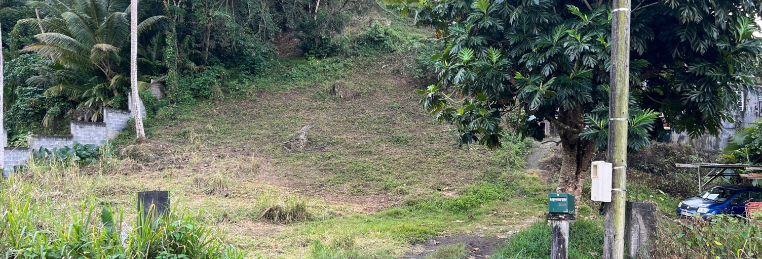 Terrain  2479 m² à vendre à Les Abymes (97139)