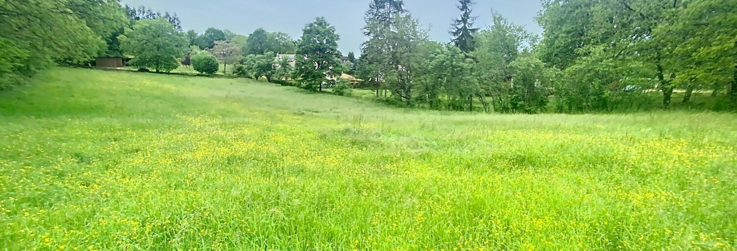 Terrain  4250 m² à vendre à Terrasson-Lavilledieu (24120)
