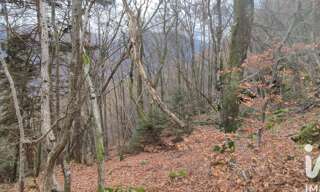 Terrain  61700 m² à vendre à Saint-Georges-d'Hurtières (73220)