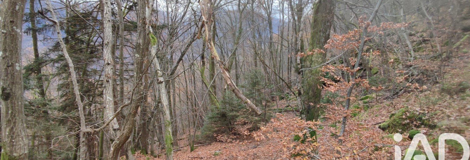 Terrain  61700 m² à vendre à Saint-Georges-d'Hurtières (73220)