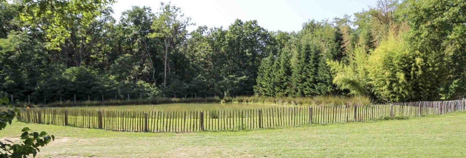 Maison 4 Pièces 163 m² à vendre à Lorris (45260)