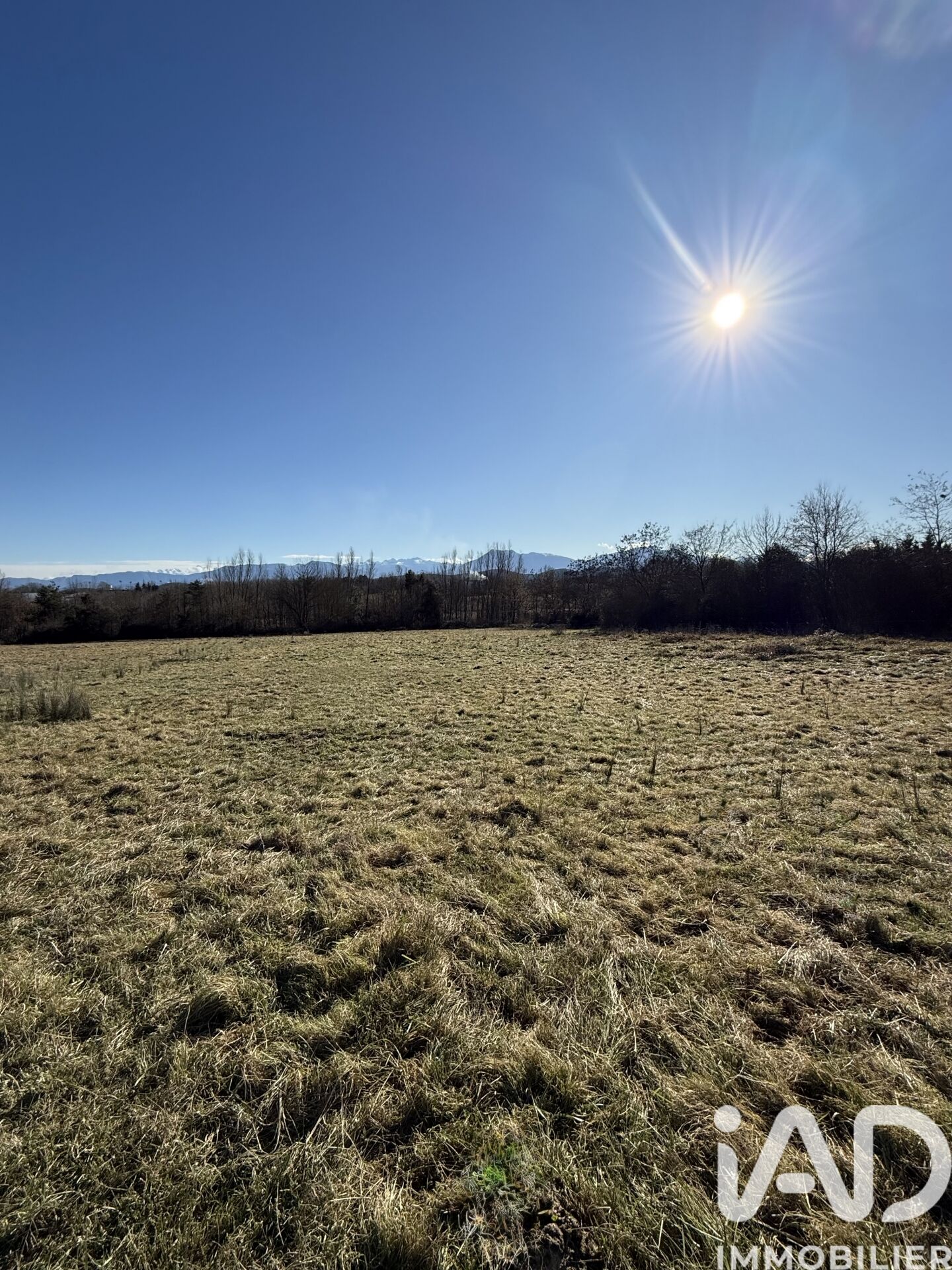 St-Gaudens - 2501m²