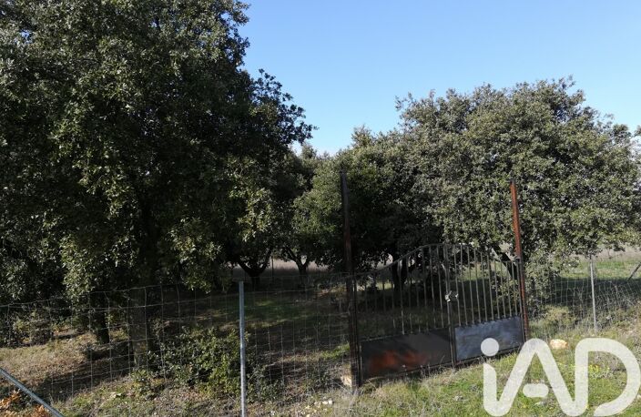 Vente Truffière 1 368 m&sup2; — photo 3
