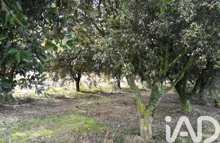 Vente Truffière 1 368 m&sup2; — photo 4