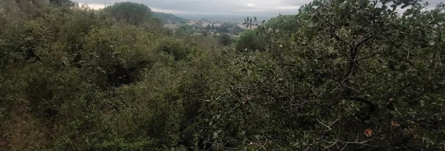 Terrain  4965 m² à vendre à Générac (30510)