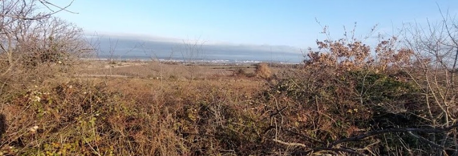 Terrain  3865 m² à vendre à Générac (30510)