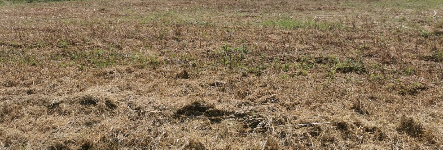 Terrain  2000 m² à vendre à Cauvignac (33690)