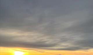 Appartement 1 Pièce 32 m² à louer à Bastia (20600)