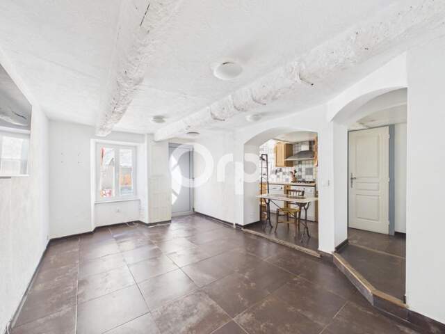 EXCLUSIVITE-IDEAL RENDEMENT LOCATIF - PLAIN-PIED-  BEAUCOUP CHARME  - TRAVERSANT - INTEGRALEMENT RENOVÉ-2CHAMBRES — photo du bien