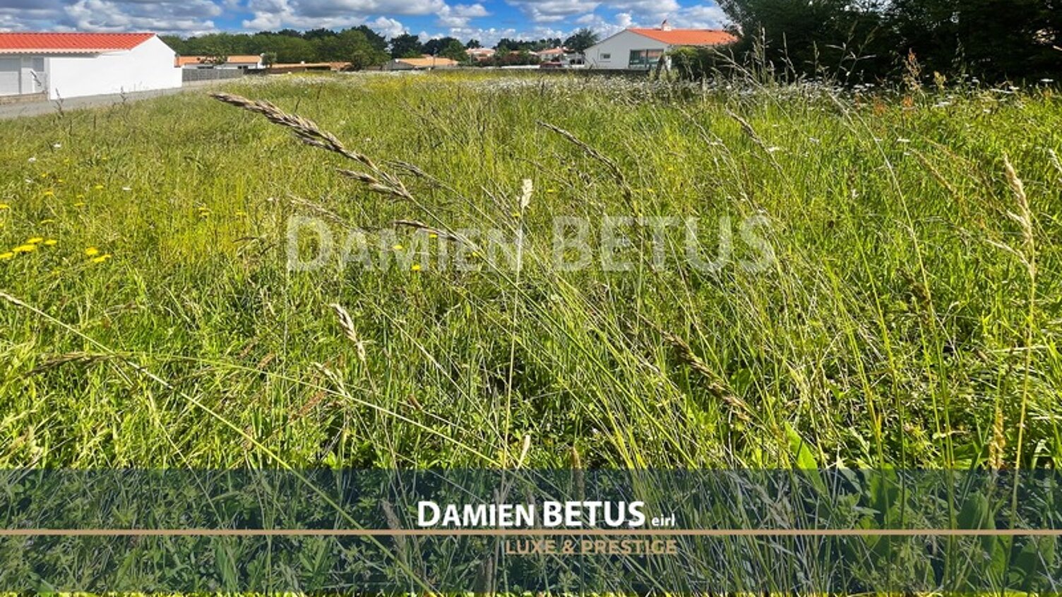 Aperçu de la visite vidéo
