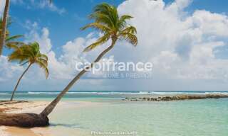 Maison 5 Pièces 180 m² à vendre à Sainte-Anne (97180)