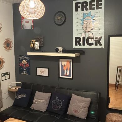 Appartement 1 pièces 480 €