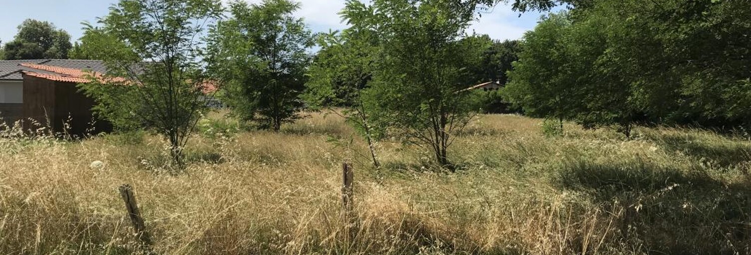 Maison 85 m² à construire Le Barp (33114)