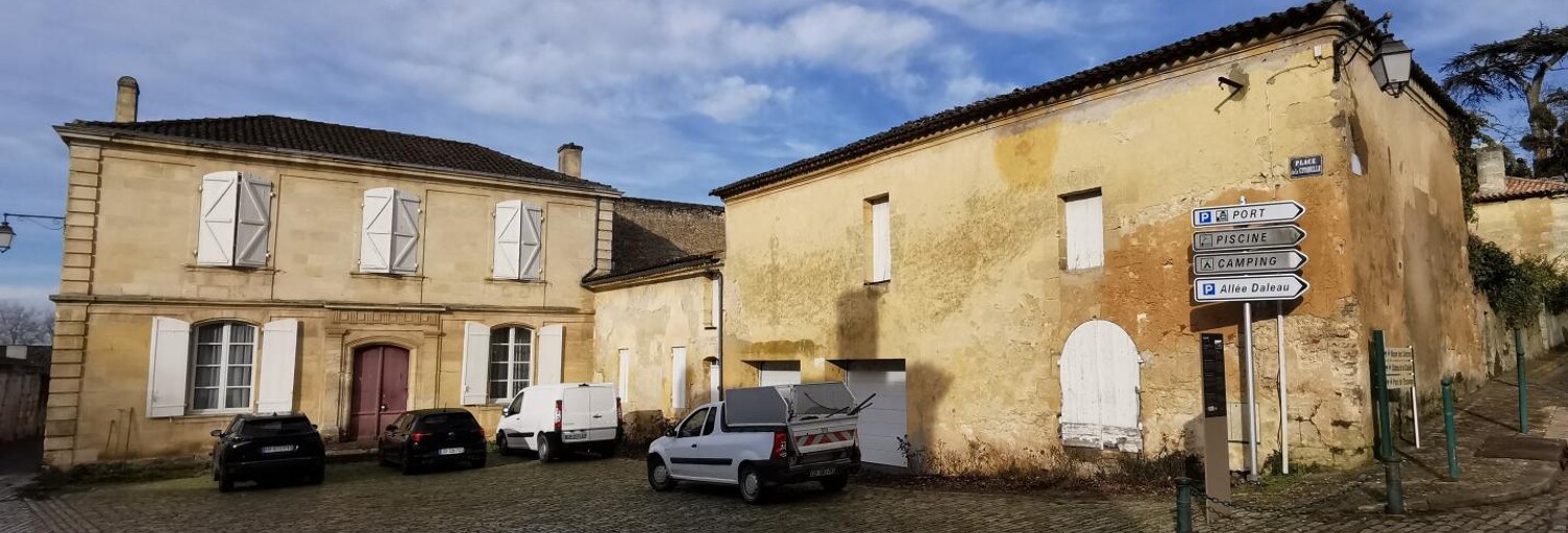 Maison 8 Pièces 273 m² à vendre à Bourg (33710)
