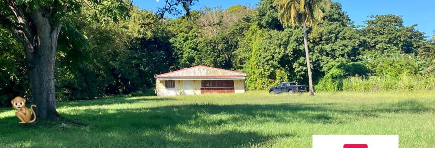 Maison 4 Pièces 100 m² à vendre à Pointe-Noire (97116)